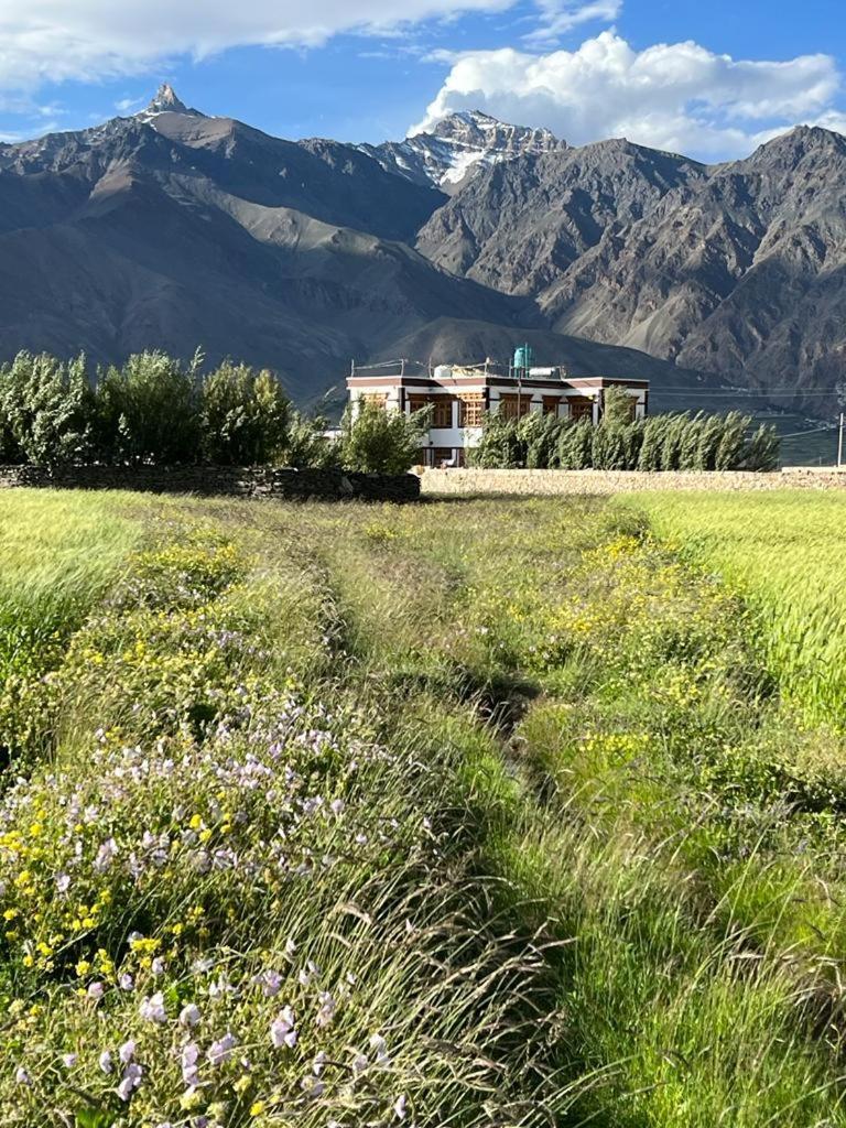 Guru View Home Stay Padam Extérieur photo